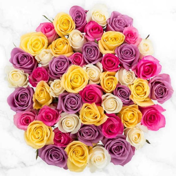 Spring Quad Roses bunch of 50 multicoloured Roses