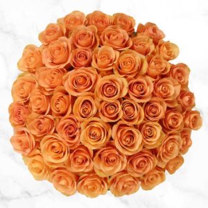 Beautiful 50 Stem Bunch of Peach Colour Roses