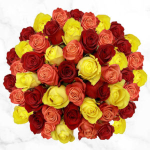 Lovely Bunch of 50 Red, Orange & Yellow Colour Roses