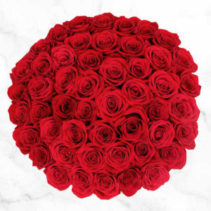 Handpicked Bunch of 50 Red Colour Roses
