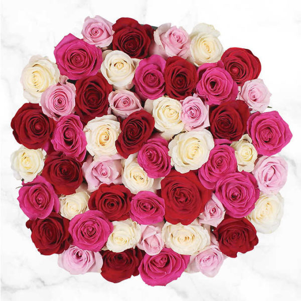 Bunch of 50 Shades of Pink Quad Roses