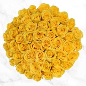 Gorgeous Bunch of 50 Yellow Colour Roses