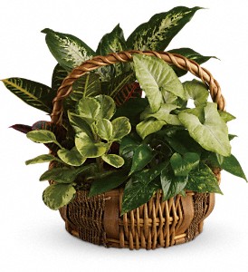 8 Planter Basket LF54 30