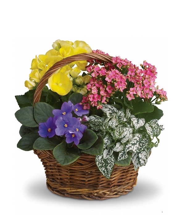 Blooming Planter Basket