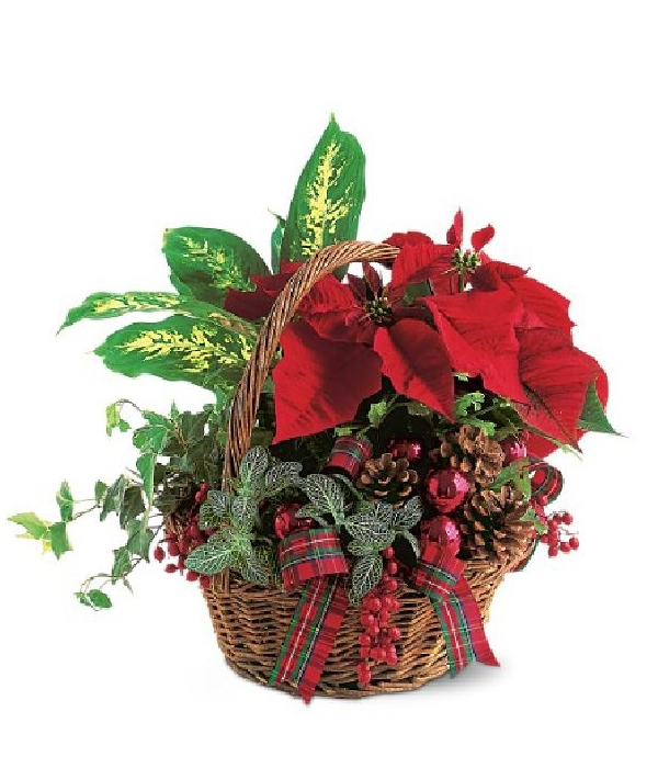 Christmas Planter Basket Christmas Planter Basket