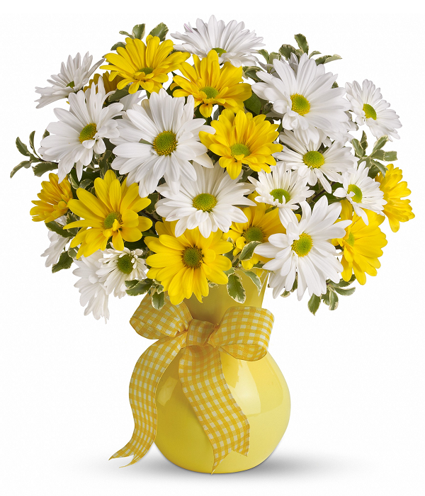 Classic Yellow White Daisies bloomex 1
