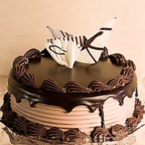 Dark Chocolate Delight Cake