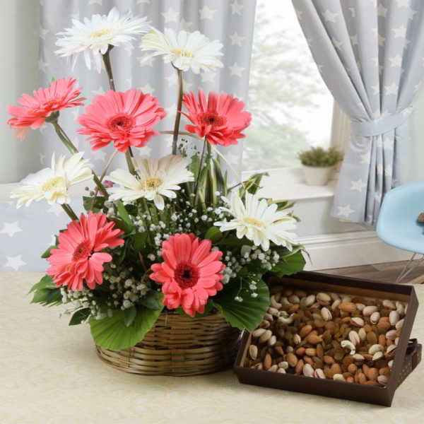 Amazing Arrangement of Gerberas with Assorted Dry Fruits - Same Day Delivery