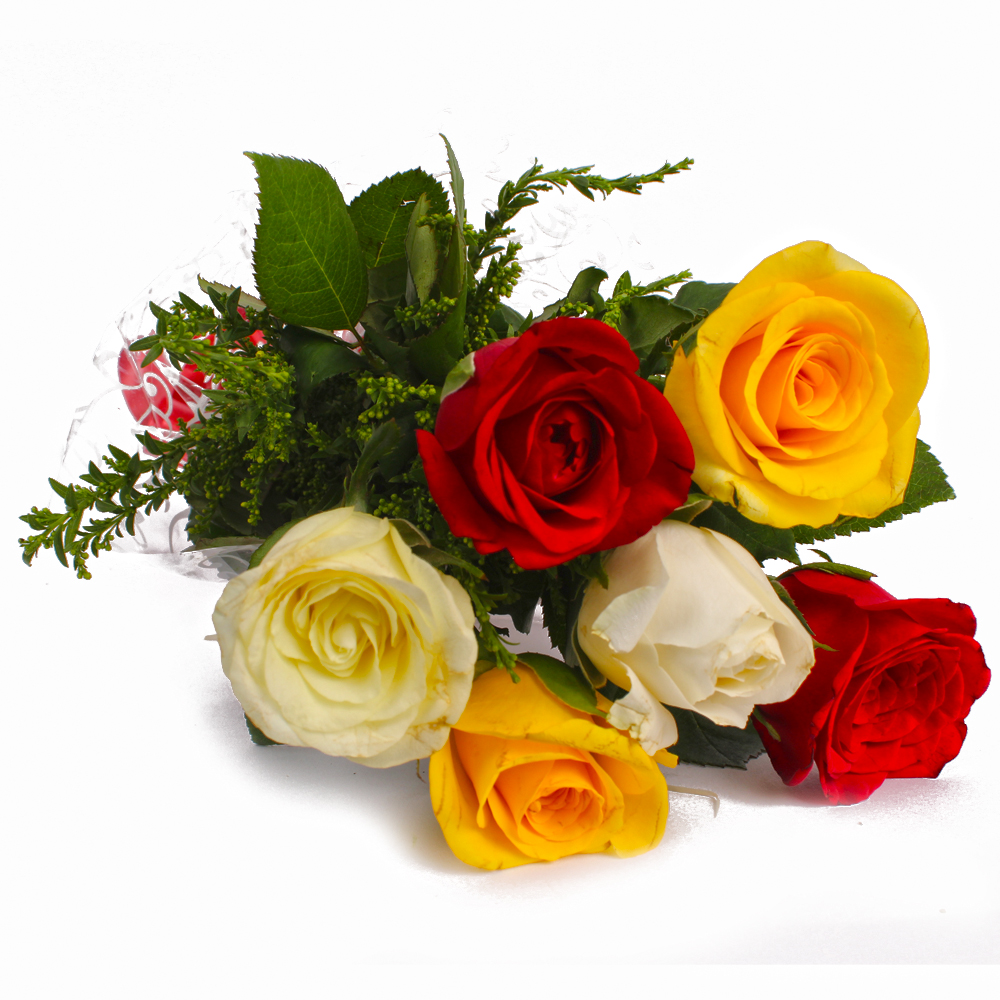 Colorful Six Roses Nicely Wrapped – Same Day Delivery