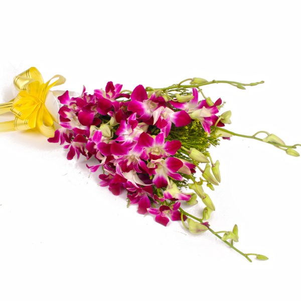 Six Purple Orchids with Tissue Packing - Same Day Delivery