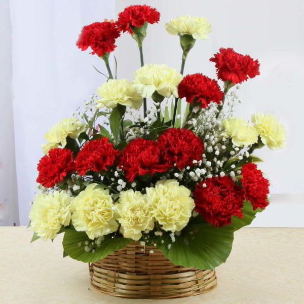Arrangement of Red and Yellow Carnations - Same Day Delivery