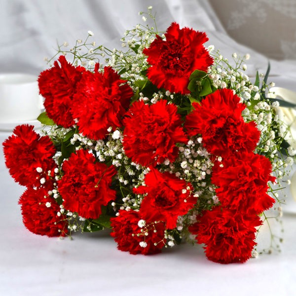 Bouquet of Dozen Red Carnations - Same Day Delivery