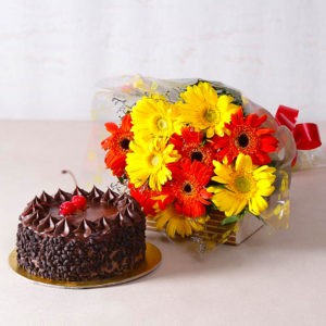 Half Kg Choco Chip Cake and Gerberas Bouquet