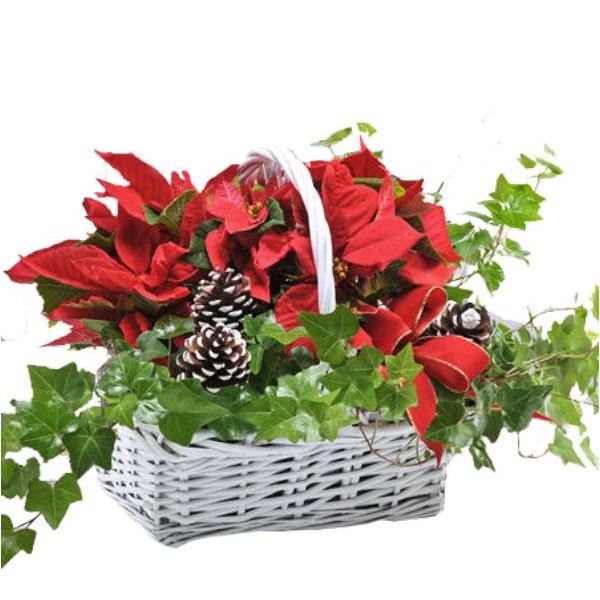 Happy Holidays Planter Basket CPB 03