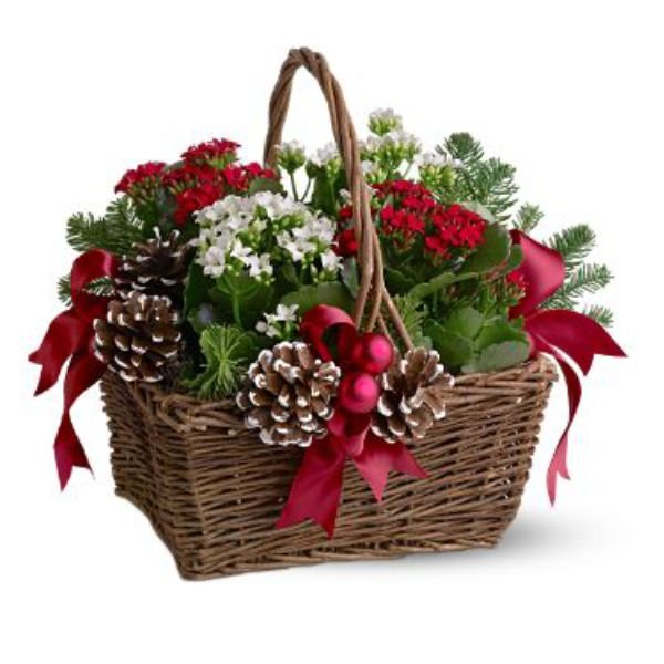 Joyeux Noel Planter Basket