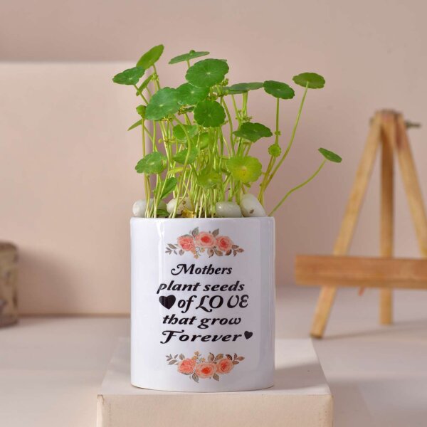 Thankyou mom hamper - Image 2