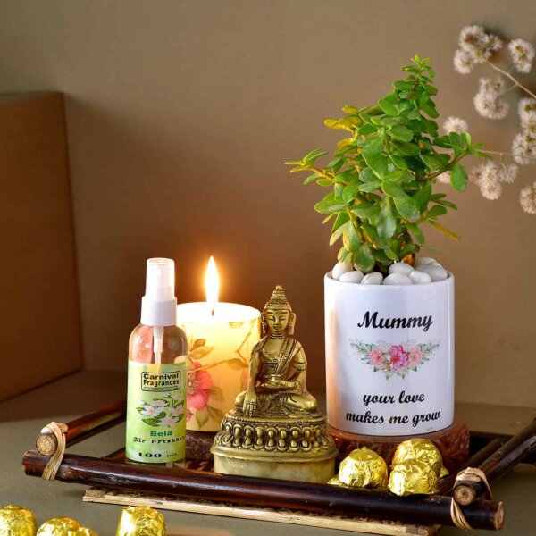 Balanced aura mother's hamper