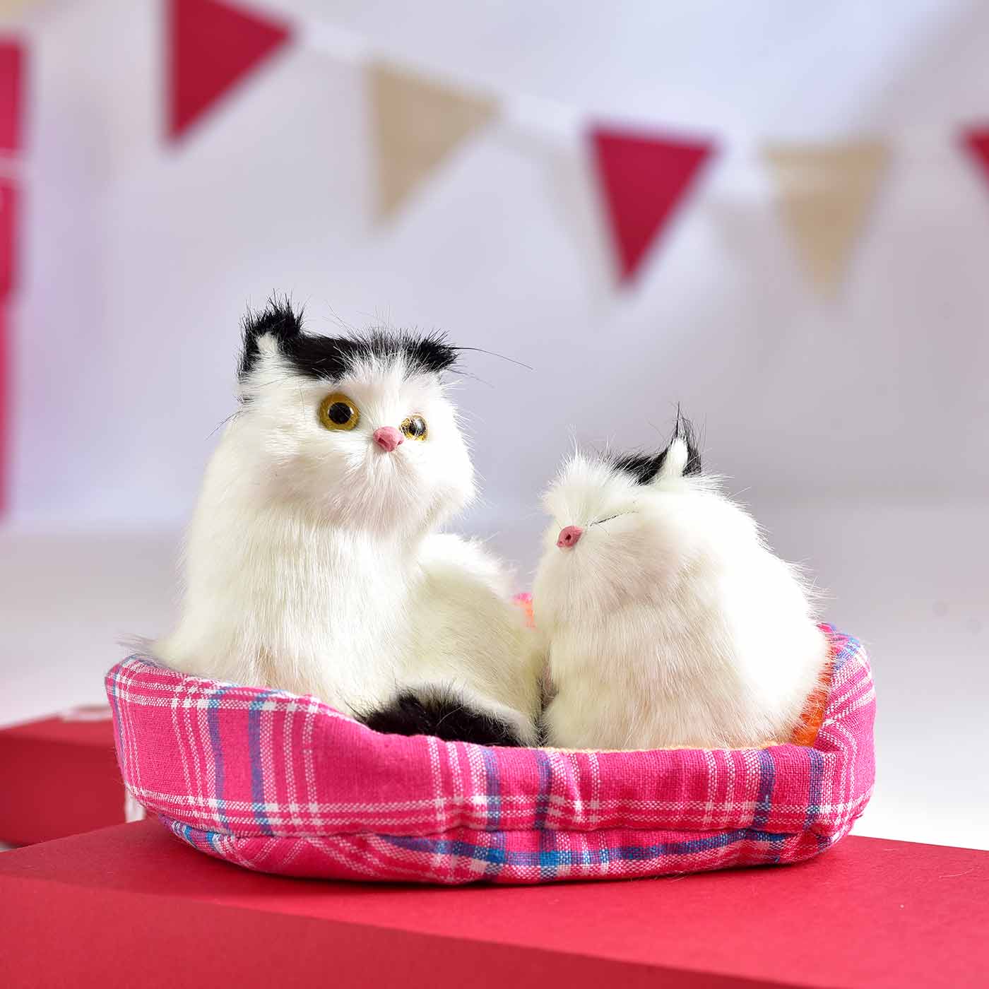 Valentine’s Day Gifts