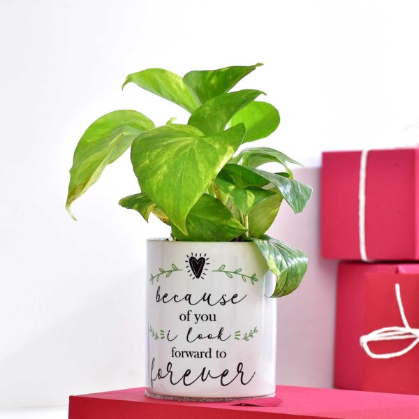 Valentine’s Day Gifts - Image 4