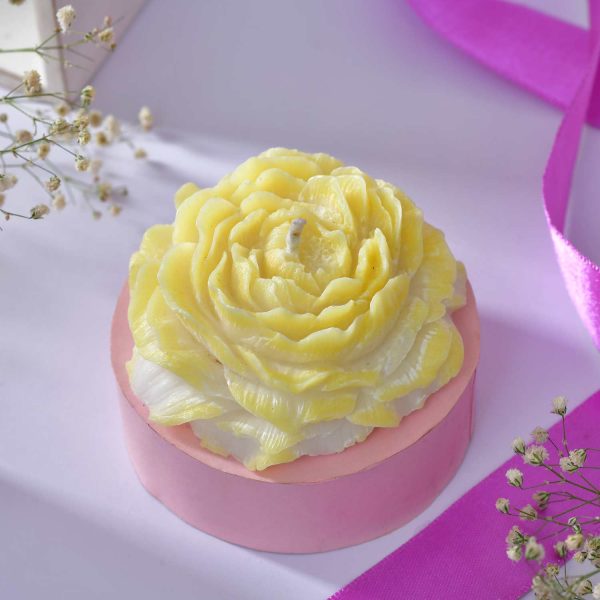 Skincare-Focused with a Luxe Feel - Image 4